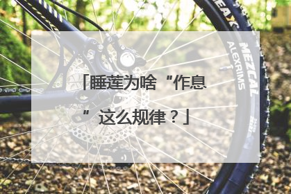 睡莲为啥“作息”这么规律？