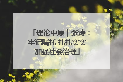 理论中原｜张涛：牢记嘱托 扎扎实实加强社会治理