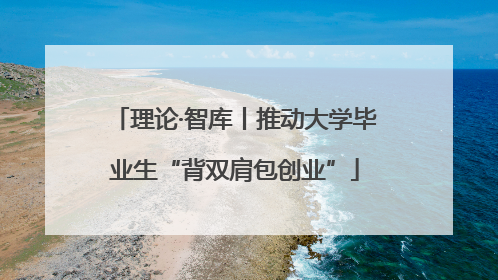 理论·智库丨推动大学毕业生“背双肩包创业”
