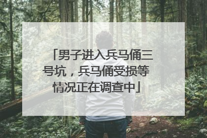 男子进入兵马俑三号坑，兵马俑受损等情况正在调查中