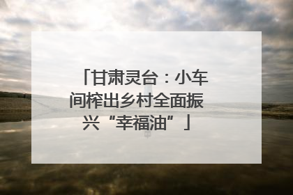 甘肃灵台：小车间榨出乡村全面振兴“幸福油”