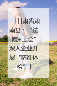 甘肃省肃南县：“法院+工会”深入企业开展“精准体检”