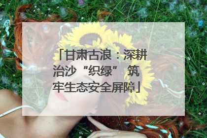 甘肃古浪：深耕治沙“织绿” 筑牢生态安全屏障