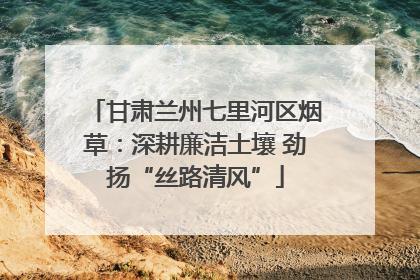 甘肃兰州七里河区烟草：深耕廉洁土壤 劲扬“丝路清风”