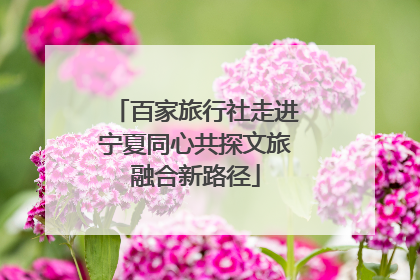 百家旅行社走进宁夏同心共探文旅融合新路径