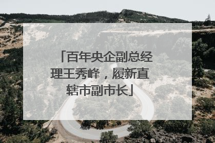 百年央企副总经理王秀峰，履新直辖市副市长
