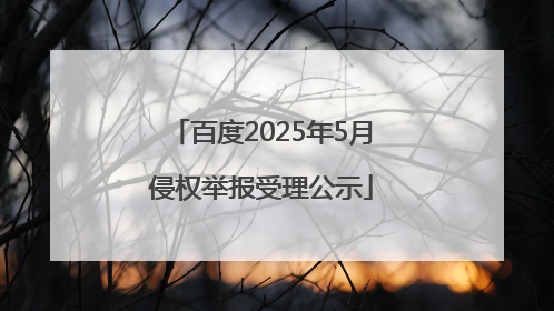 百度2025年5月侵权举报受理公示