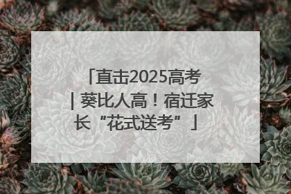 直击2025高考｜葵比人高！宿迁家长“花式送考”