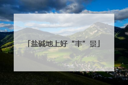盐碱地上好“丰”景