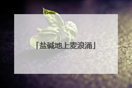 盐碱地上麦浪涌