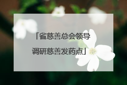 省慈善总会领导调研慈善发药点