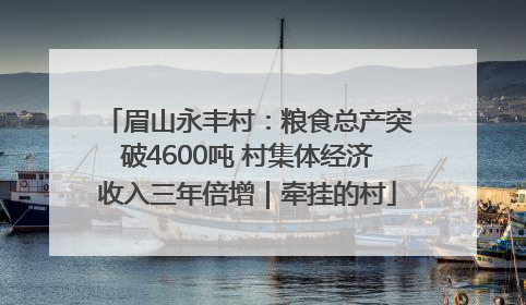 眉山永丰村：粮食总产突破4600吨 村集体经济收入三年倍增｜牵挂的村