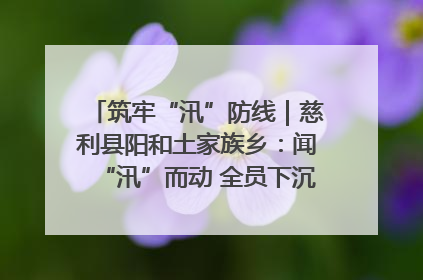 筑牢“汛”防线｜慈利县阳和土家族乡：闻“汛”而动 全员下沉筑牢防汛“安全堤”
