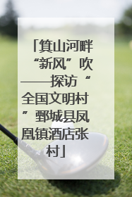 箕山河畔“新风”吹——探访“全国文明村”鄄城县凤凰镇酒店张村