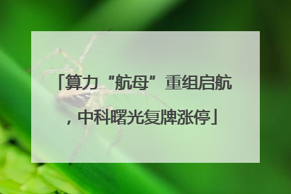 算力“航母”重组启航，中科曙光复牌涨停