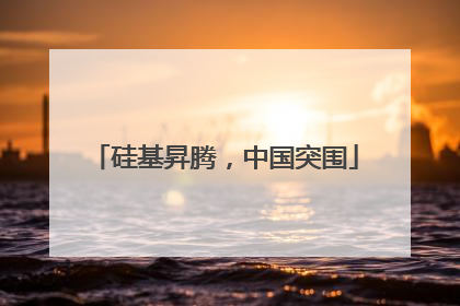 硅基昇腾，中国突围
