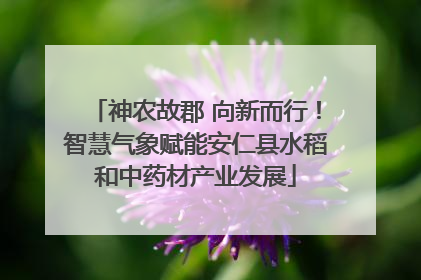 神农故郡 向新而行！智慧气象赋能安仁县水稻和中药材产业发展