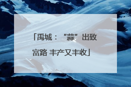 禹城：“蒜”出致富路 丰产又丰收
