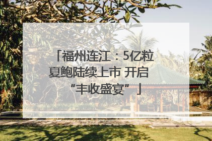 福州连江：5亿粒夏鲍陆续上市 开启“丰收盛宴”