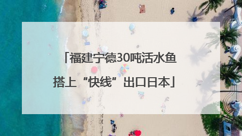 福建宁德30吨活水鱼搭上“快线”出口日本