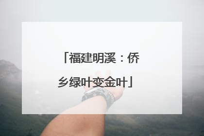 福建明溪：侨乡绿叶变金叶
