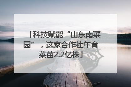 科技赋能“山东南菜园”，这家合作社年育菜苗2.2亿株