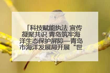 科技赋能执法 宣传凝聚共识 青岛筑牢海洋生态保护屏障—青岛市海洋发展局开展“世界海洋日”和“全国海洋宣传日”宣传活动