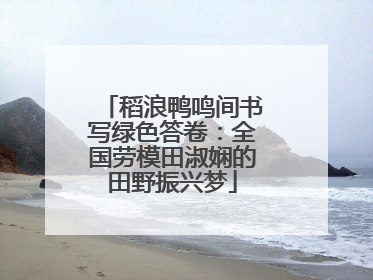 稻浪鸭鸣间书写绿色答卷：全国劳模田淑娴的田野振兴梦