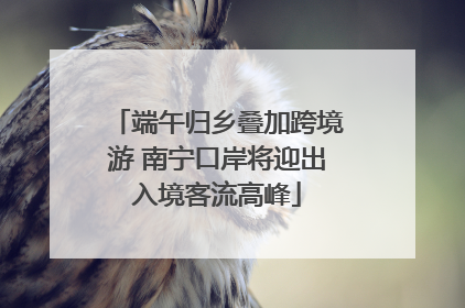 端午归乡叠加跨境游 南宁口岸将迎出入境客流高峰