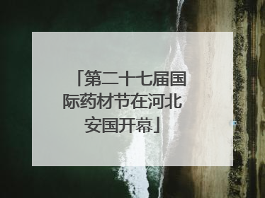 第二十七届国际药材节在河北安国开幕