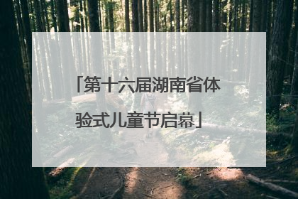 第十六届湖南省体验式儿童节启幕
