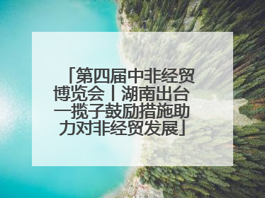 第四届中非经贸博览会丨湖南出台一揽子鼓励措施助力对非经贸发展