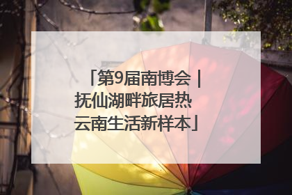 第9届南博会｜抚仙湖畔旅居热 云南生活新样本