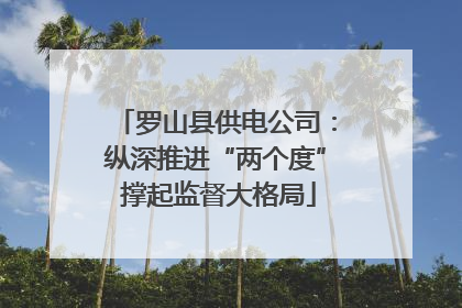 罗山县供电公司：纵深推进“两个度” 撑起监督大格局
