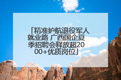 精准护航退役军人就业路 广西国企夏季招聘会释放超2000+优质岗位