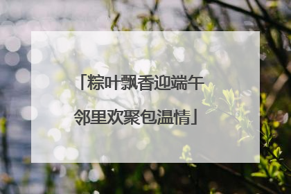 粽叶飘香迎端午 邻里欢聚包温情