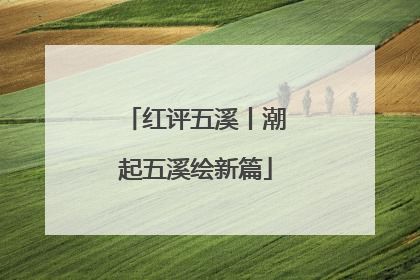 红评五溪丨潮起五溪绘新篇
