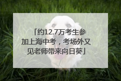 约12.7万考生参加上海中考，考场外又见老师带来向日葵