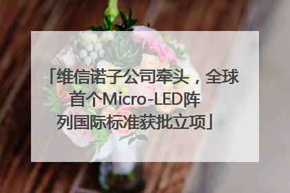 维信诺子公司牵头，全球首个Micro-LED阵列国际标准获批立项