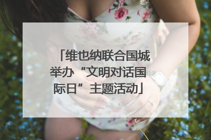 维也纳联合国城举办“文明对话国际日”主题活动