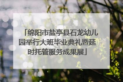 绵阳市盐亭县石龙幼儿园举行大班毕业典礼暨延时托管服务成果展