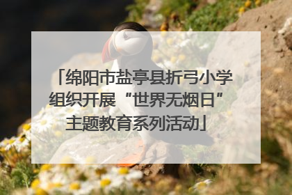 绵阳市盐亭县折弓小学组织开展“世界无烟日”主题教育系列活动
