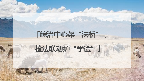综治中心架“法桥”，检法联动护“学途”