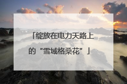 绽放在电力天路上的“雪域格桑花”