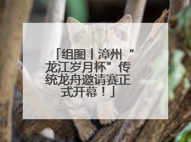 组图丨漳州“龙江岁月杯”传统龙舟邀请赛正式开幕！