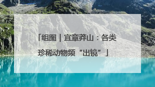 组图｜宜章莽山：各类珍稀动物频“出镜”