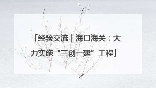 经验交流｜海口海关：大力实施“三创一建”工程