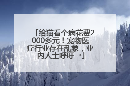 给猫看个病花费2000多元！宠物医疗行业存在乱象，业内人士呼吁→