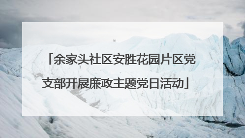 余家头社区安胜花园片区党支部开展廉政主题党日活动