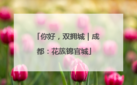 你好，双拥城｜成都：花簇锦官城
